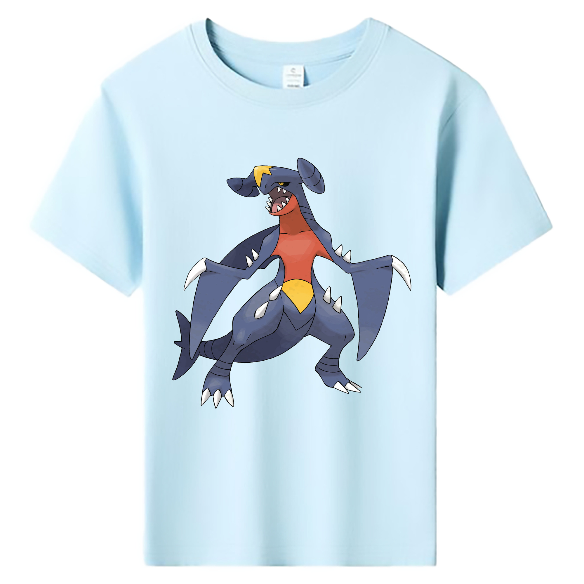 （画像用） ポケットモンスター Pokémon 綿100％キッズTシャツ（フロントプリント）